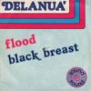 Delanua – Flood